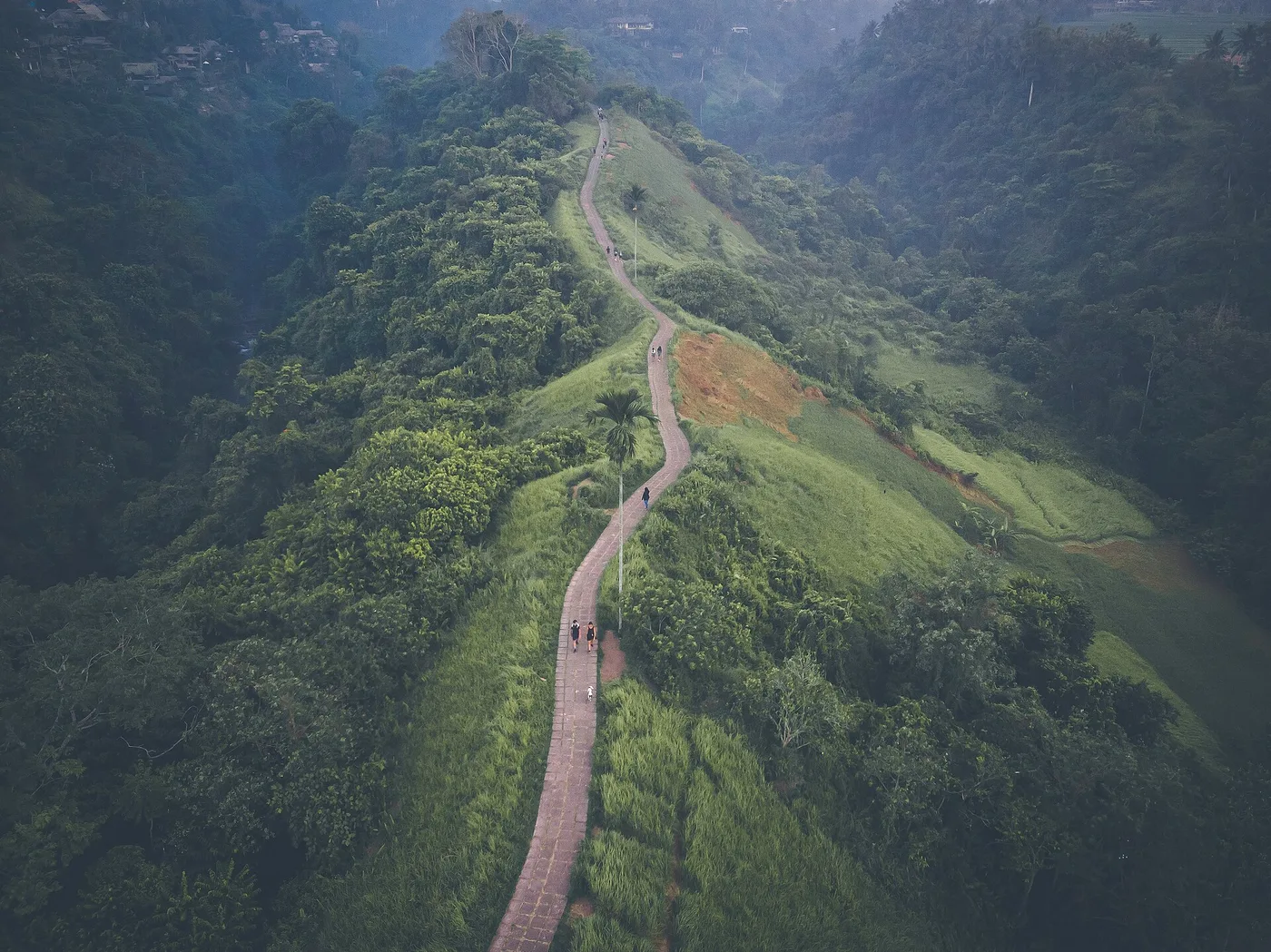 The paved Campuhan Ridge path along a green jungle ridge in Ubud