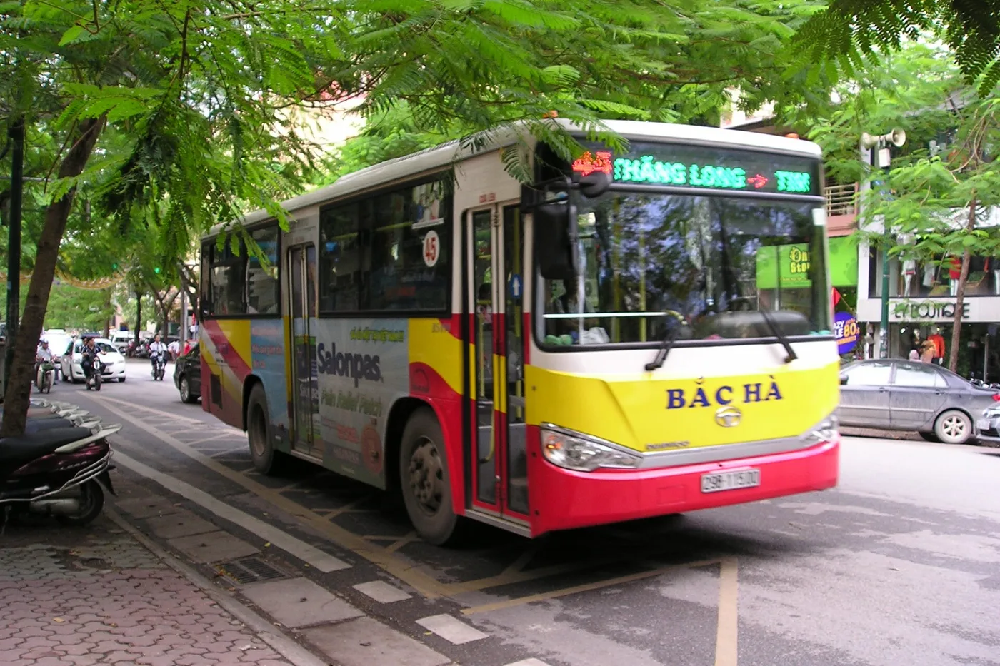 A liveried Hanoi city bus on a tree-lined street