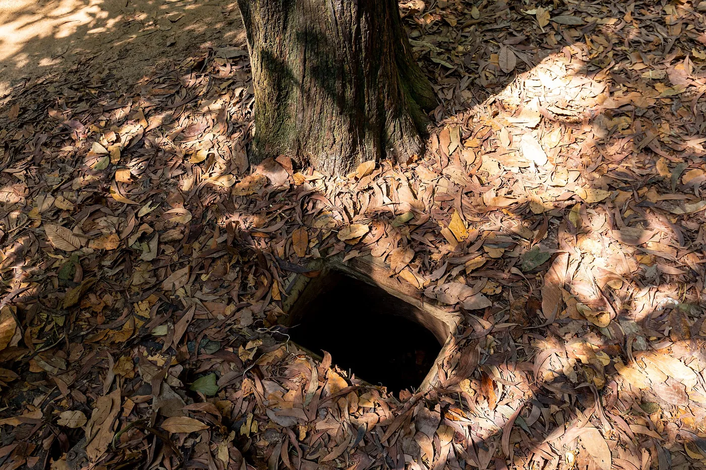 A camouflaged trapdoor entrance to the Cu Chi tunnels, covered in leaves