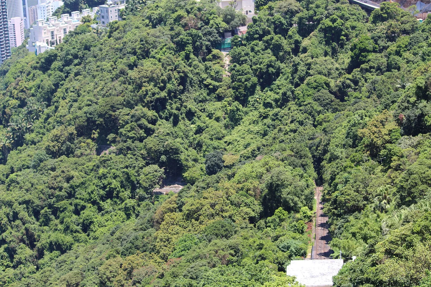 The Peak Tram's funicular tracks climbing a wooded hillside