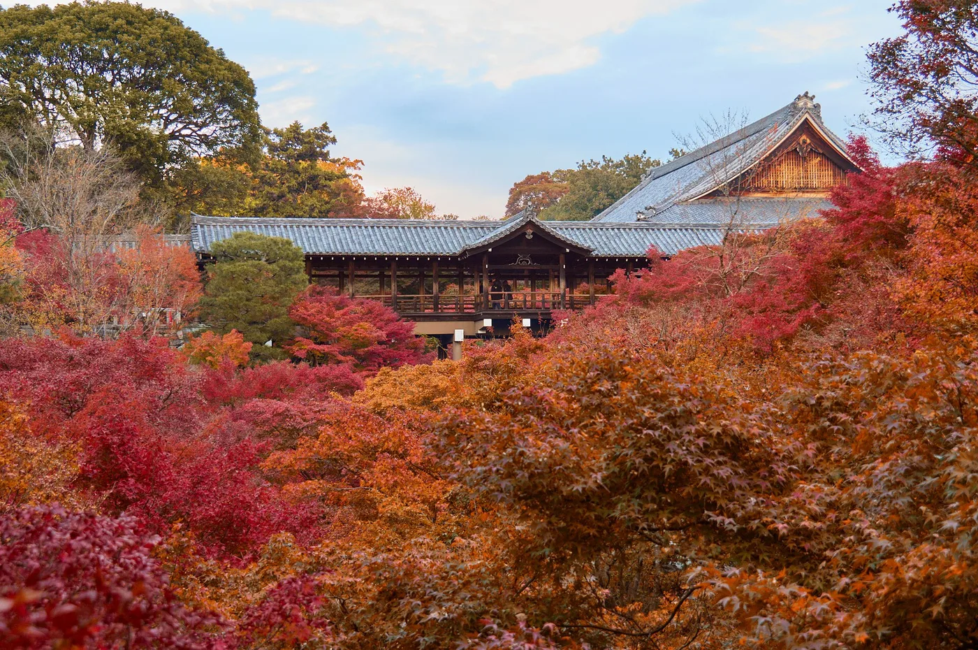 Tōfuku-ji's Tsūtenkyō bridge and hall over a valley of maples at peak autumn