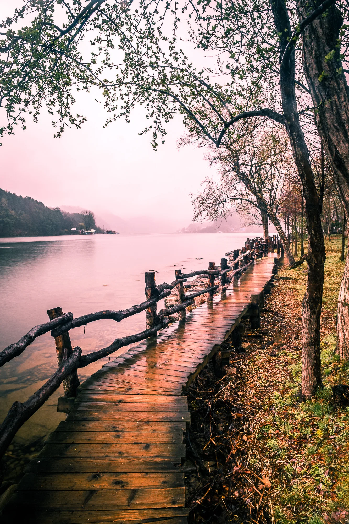 A wooden boardwalk along Nami Island's shoreline, trees overhanging the water