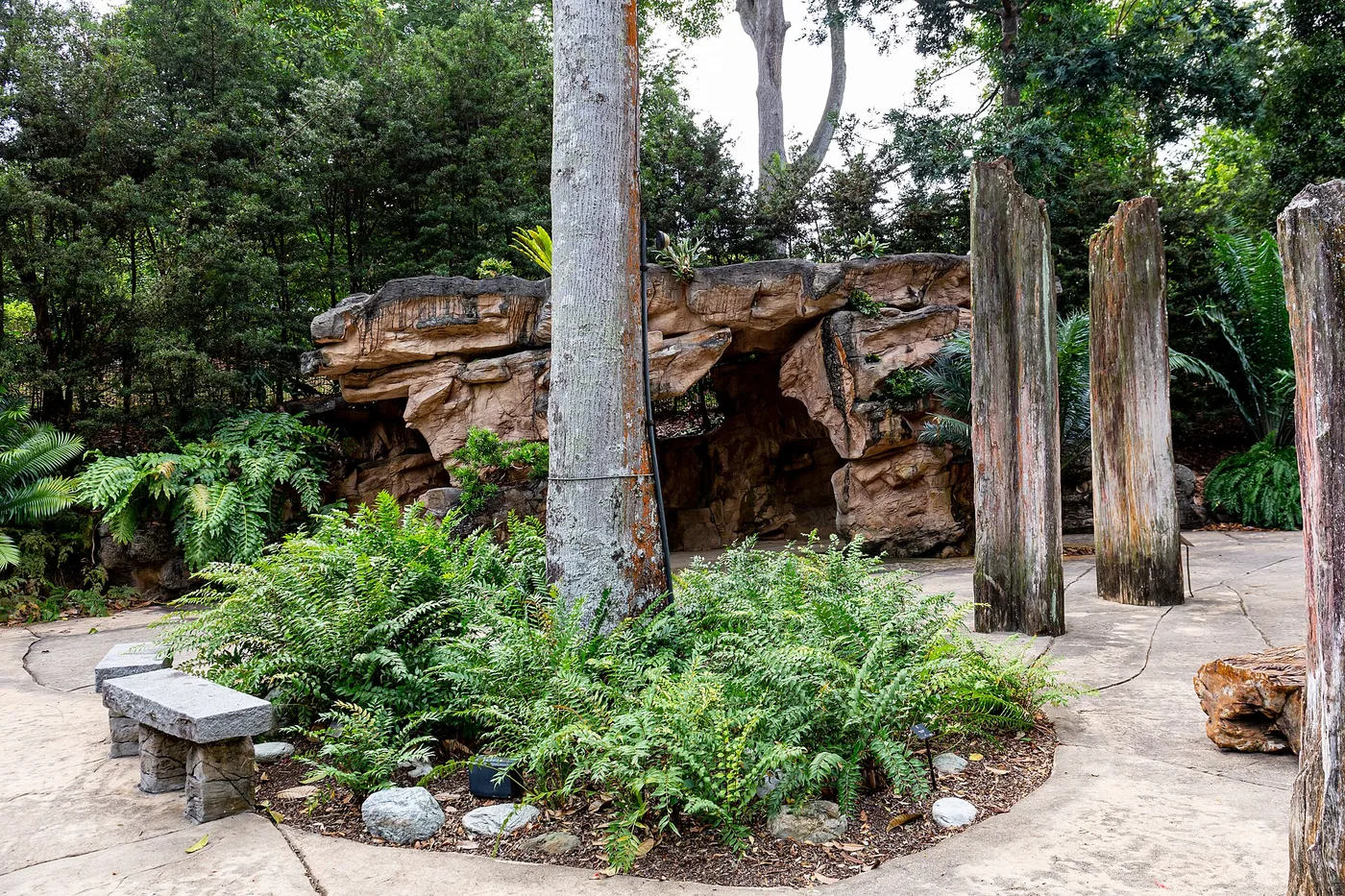 A quiet path and rock garden feature in the Singapore Botanic Gardens