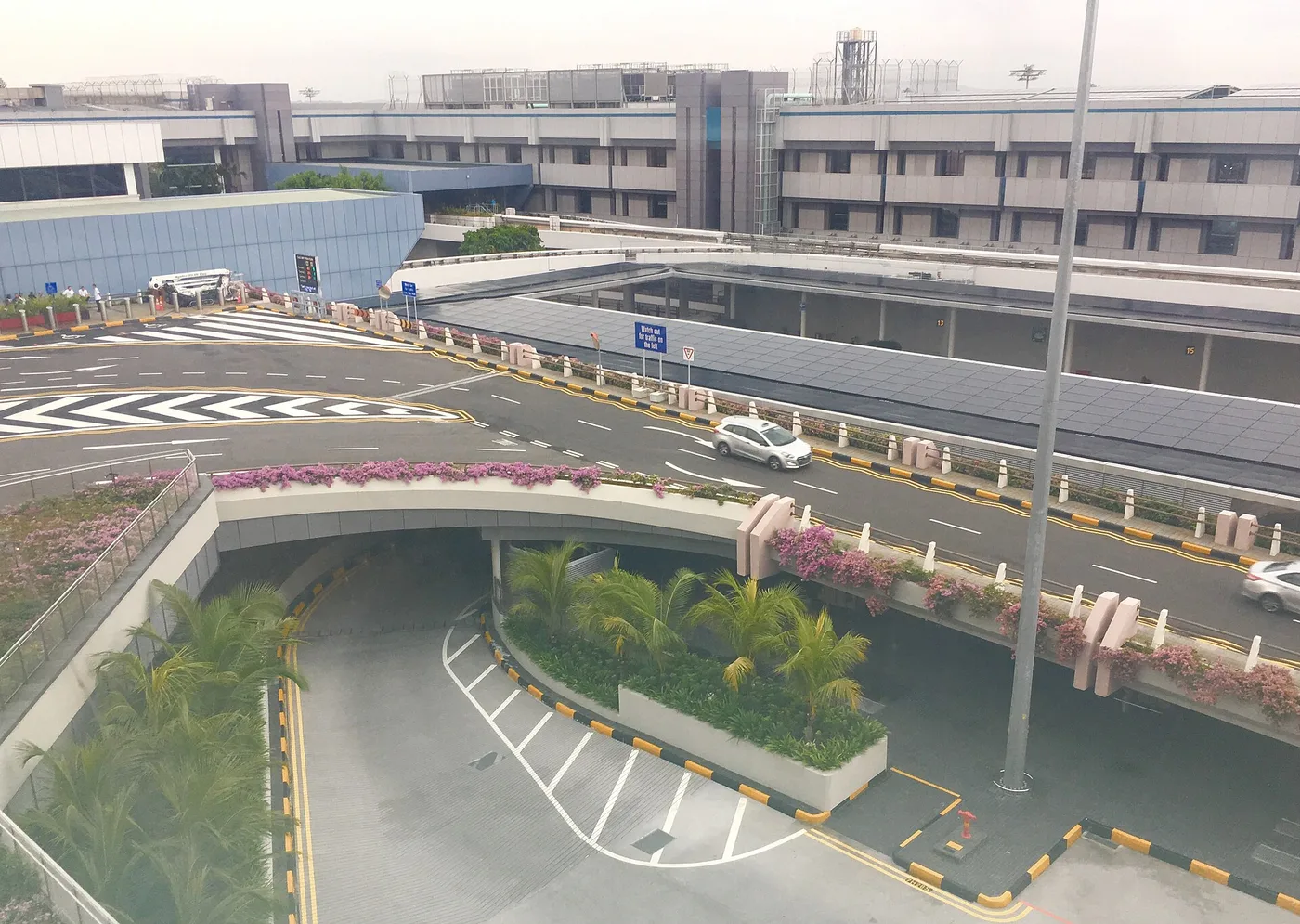 Changi Airport's terminal building and a covered access road lined with bougainvillea planters