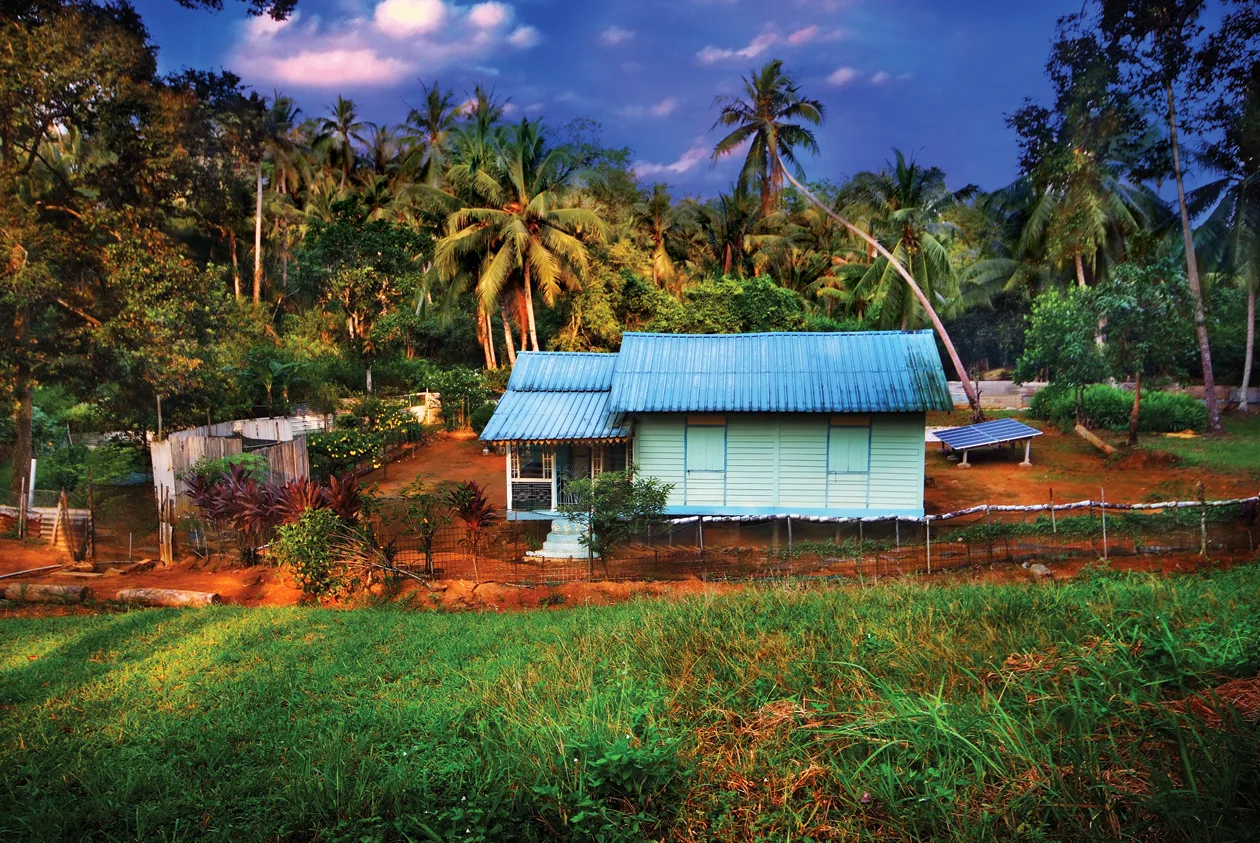 A blue-roofed wooden kampong house among palms on Pulau Ubin
