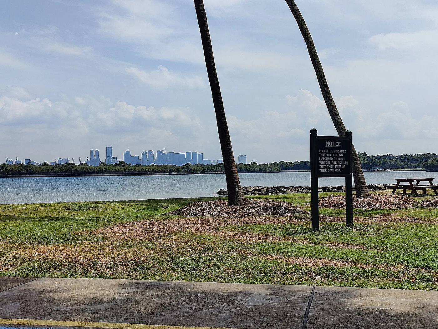 A quiet palm-lined shore on St John's Island with the Singapore skyline across the water