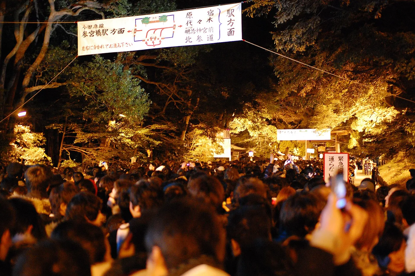 A packed hatsumōde crowd flowing into Meiji Jingu at night