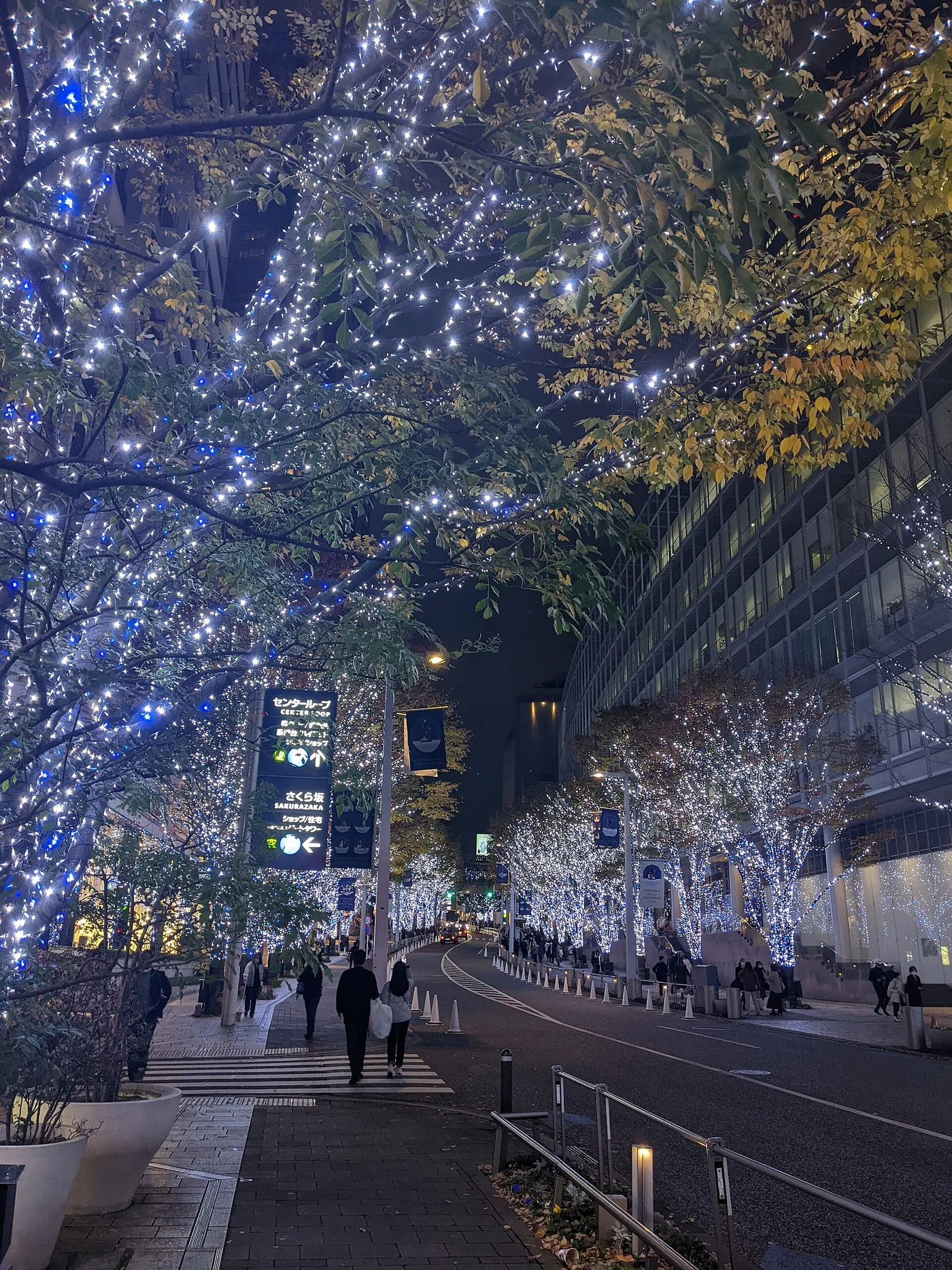 Roppongi Hills' Keyakizaka avenue strung with blue and white winter lights